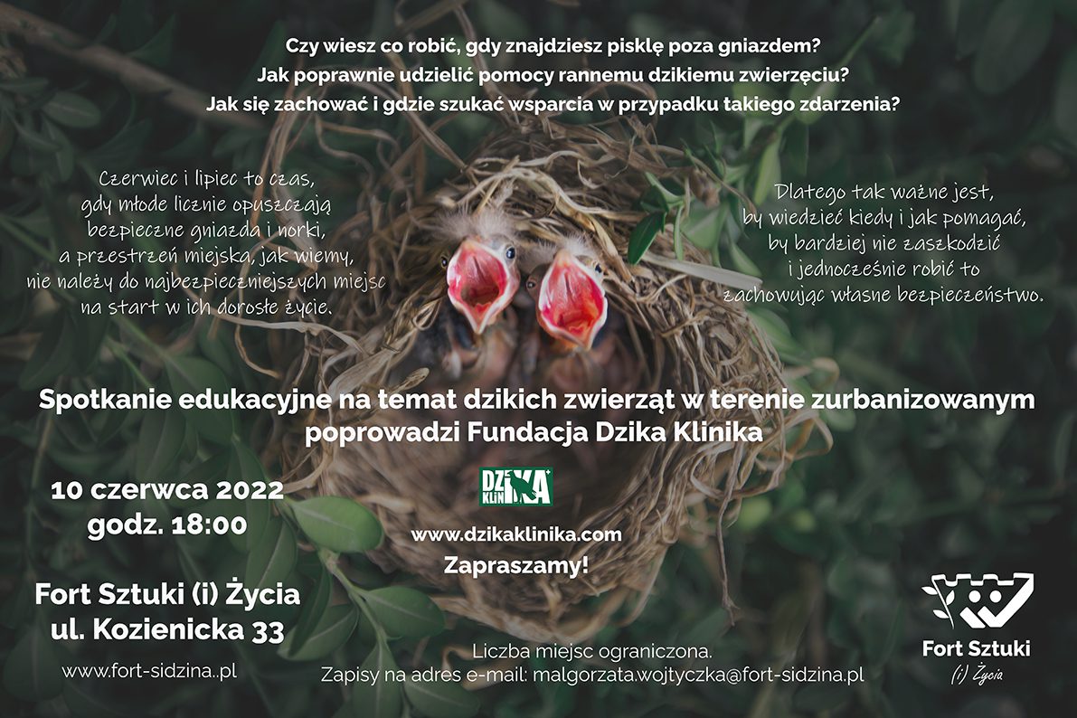 Plakat informacyjny ze zdjęciem piskląt w gnieździe. Tekst powtórzony poniżej.