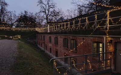 Wioska, wioska i po wiosce!